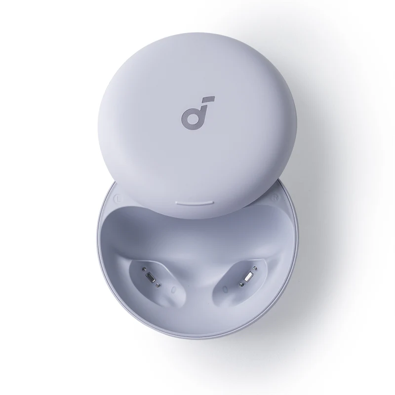 Sleep A30 Special Charging Case (without earbuds)