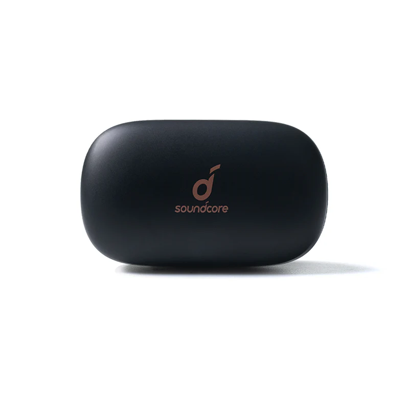 Life P2 Charging Case - Black - Image 2